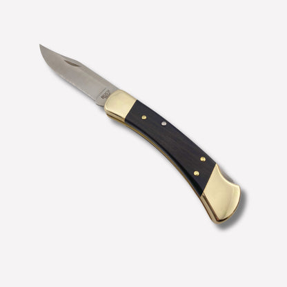 Buck 110 Folding Hunter