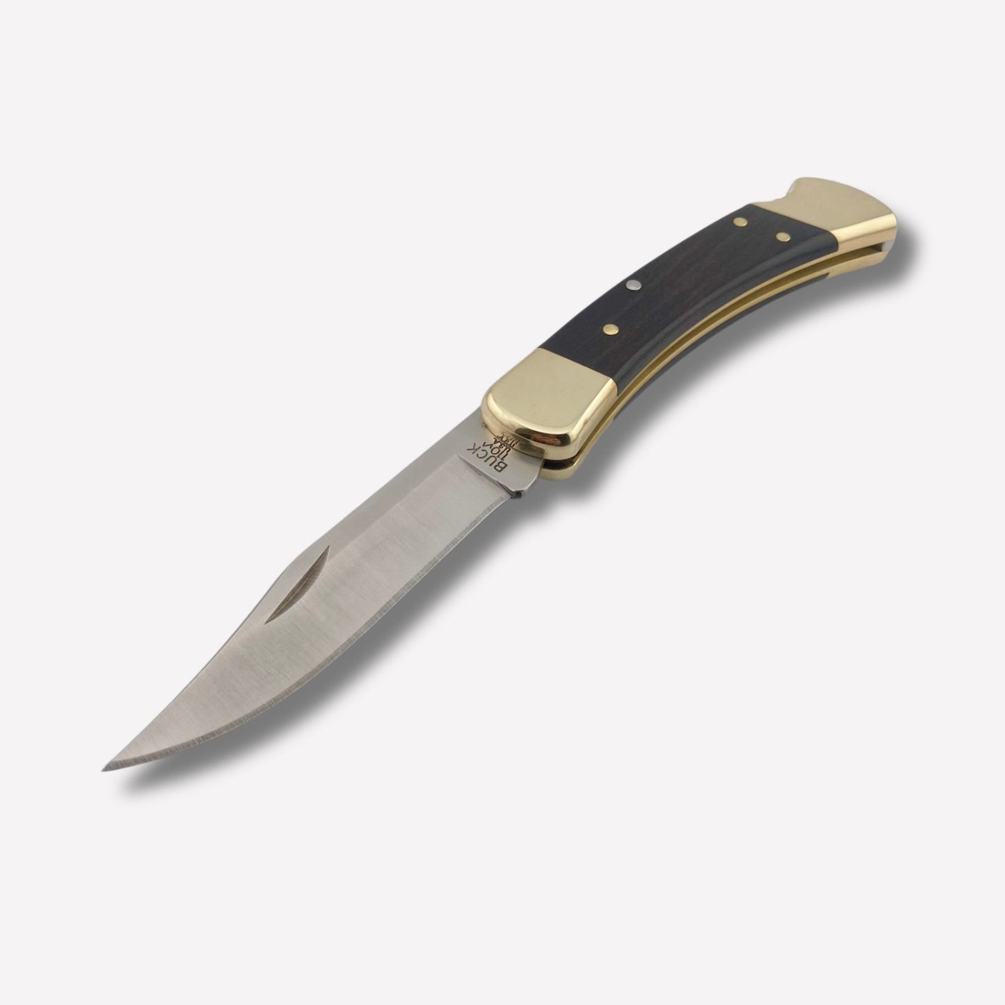 Buck 110 Folding Hunter